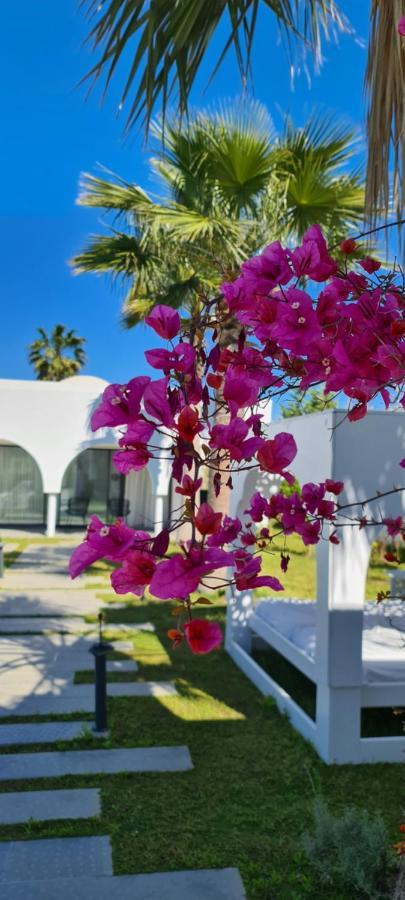 Maison - Dar Ouled Soltane Гаммарт Экстерьер фото